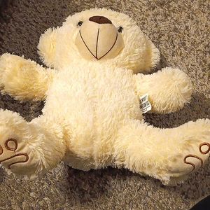 Teddy